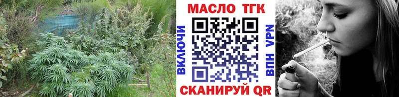 ТГК жижа Чаплыгин