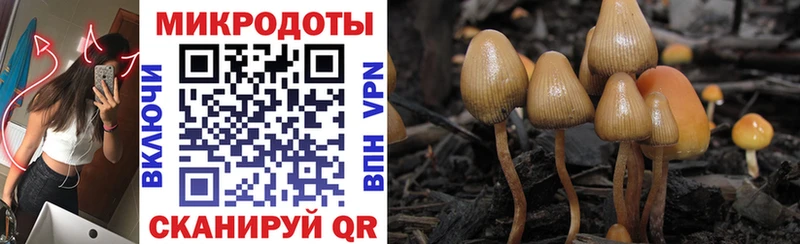 Галлюциногенные грибы GOLDEN TEACHER  Чаплыгин 